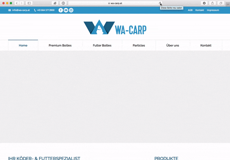wa-carp_small